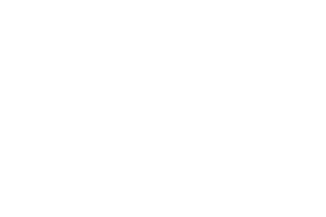 LogoMiesberg_weiss